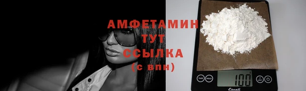 крисы Баксан
