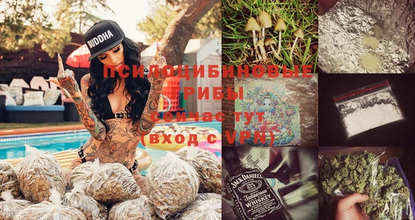 крисы Баксан