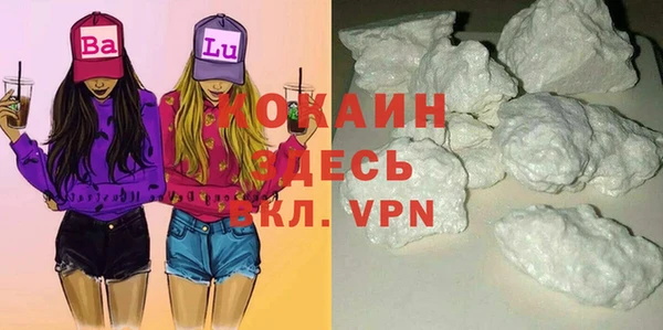 крисы Баксан