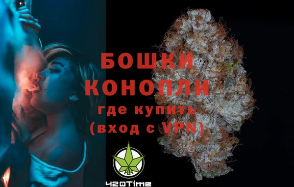 крисы Баксан