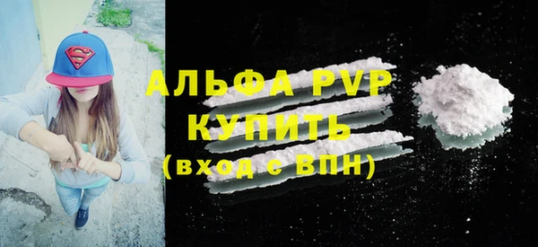 крисы Баксан