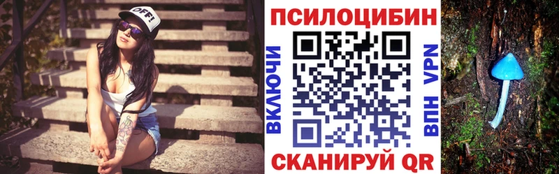 Псилоцибиновые грибы мухоморы  Нефтекумск 
